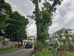 Florence Road (D19), Detached #595841961